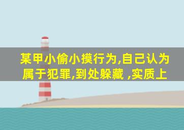 某甲小偷小摸行为,自己认为属于犯罪,到处躲藏 ,实质上